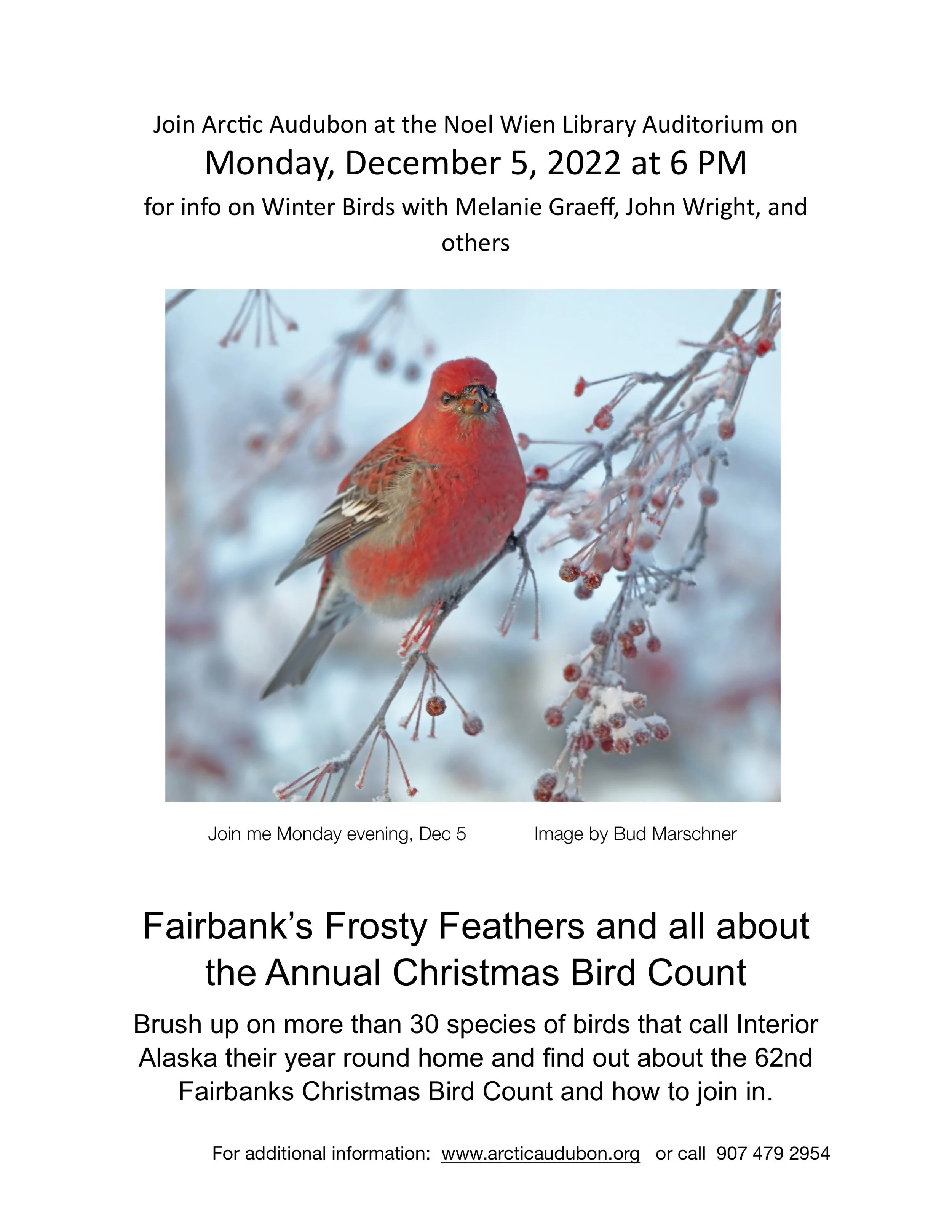 Fairbanks Frosty Feathers & all about the Christmas Bird Count